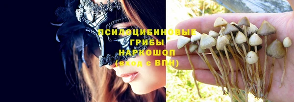 стафф Абаза