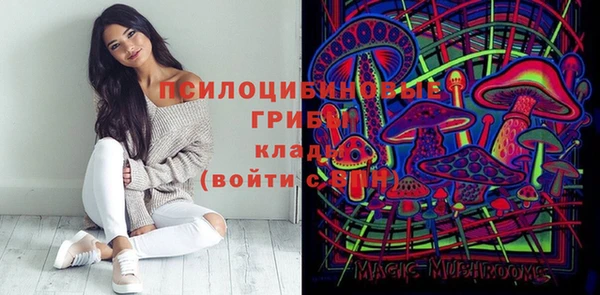 PSILOCYBIN Абдулино